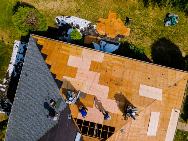 Best Roof Waterproofing Services  in Lexico, CA
